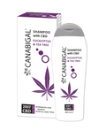 CANABIGAL SHAMPON