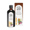 DR.THEISS Шведска горчливка, 100 ml